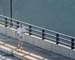 Freedomsrun2009 (29)